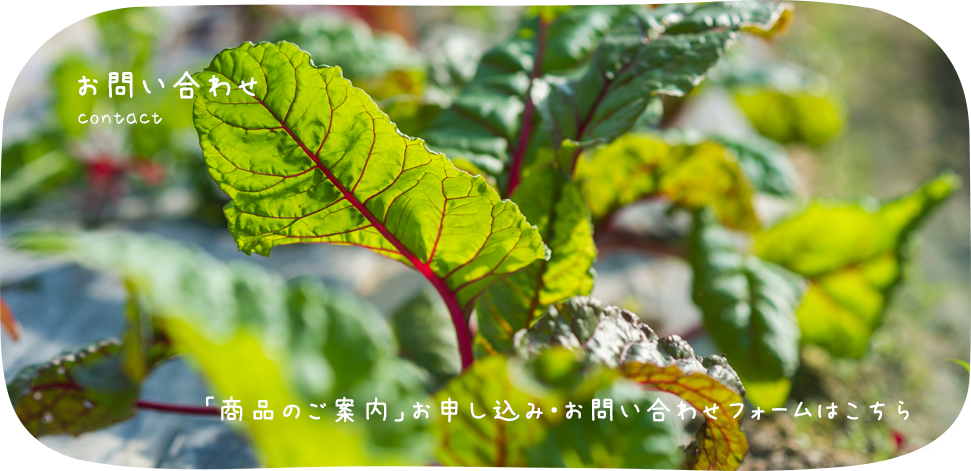 お問い合わせ 「商品のご案内」お申し込み・お問い合わフォームはこちら