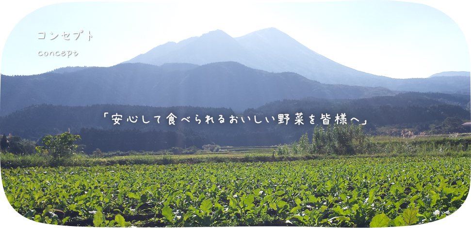 コンセプト安心して食べられるおいしい野菜を皆様へ