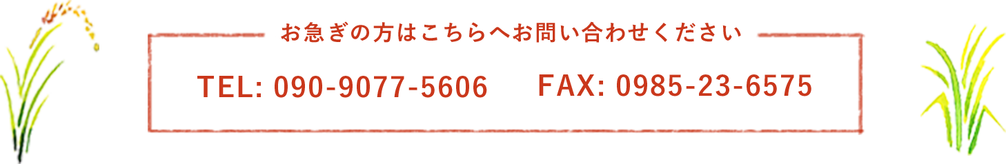 電話番号090-9077-5606 FAX0985-23-6575