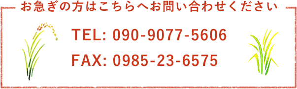 電話番号090-9077-5606 FAX0985-23-6575