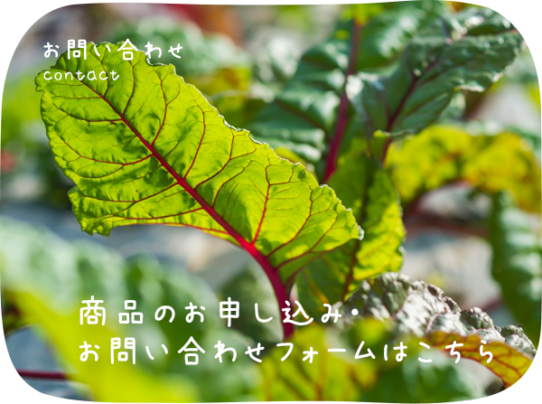 お問い合わせ 「商品のご案内」お申し込み・お問い合わフォームはこちら
