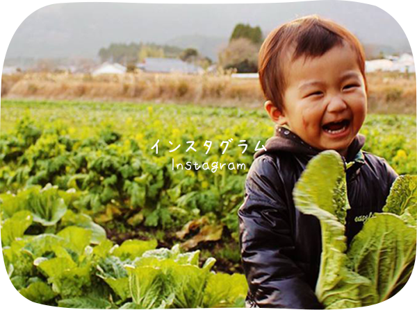 インスタグラム