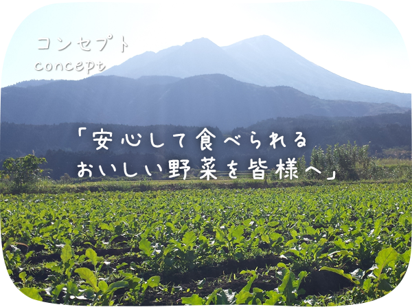 コンセプト安心して食べられるおいしい野菜を皆様へ